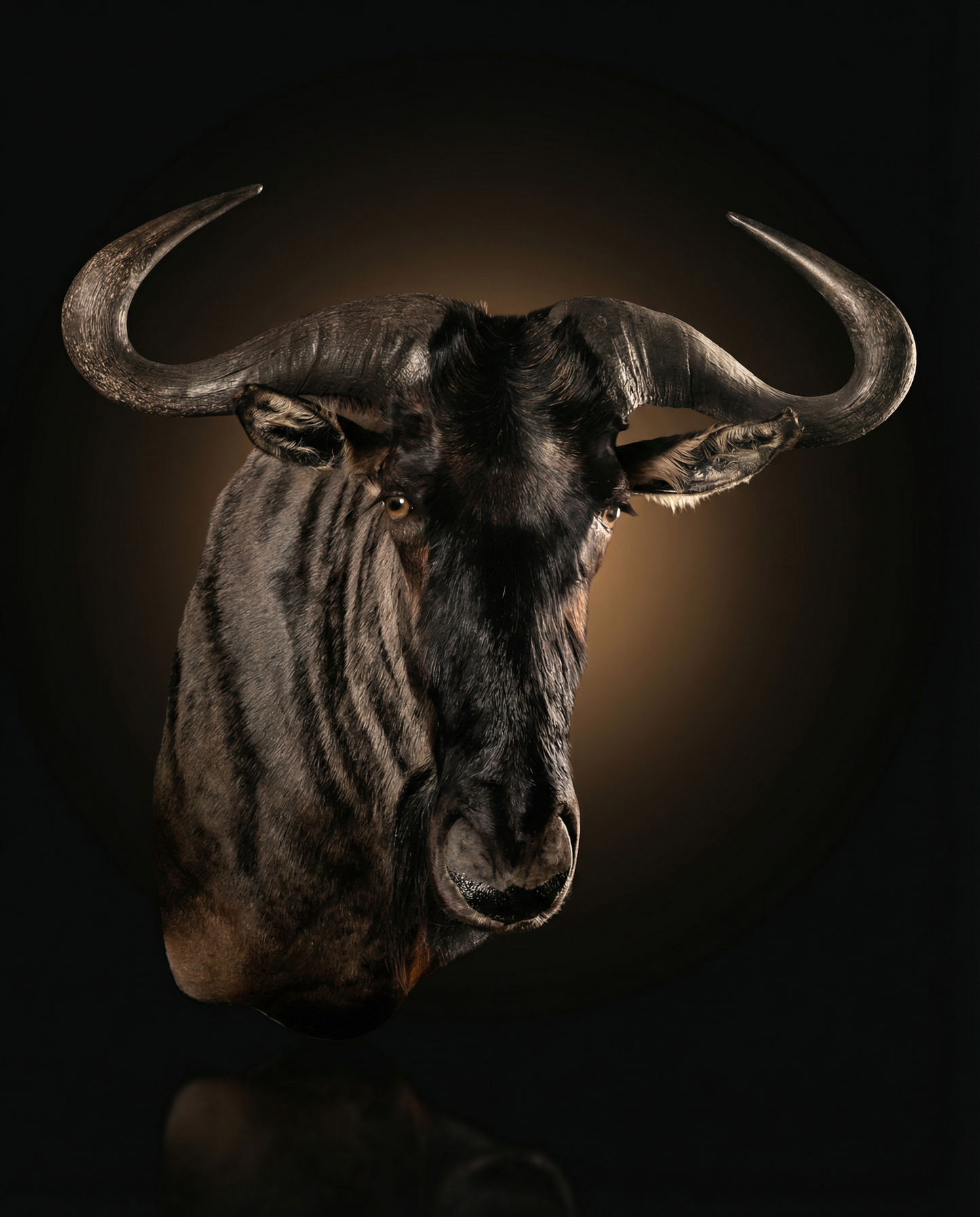 Wildebeest Mount: The Anchor