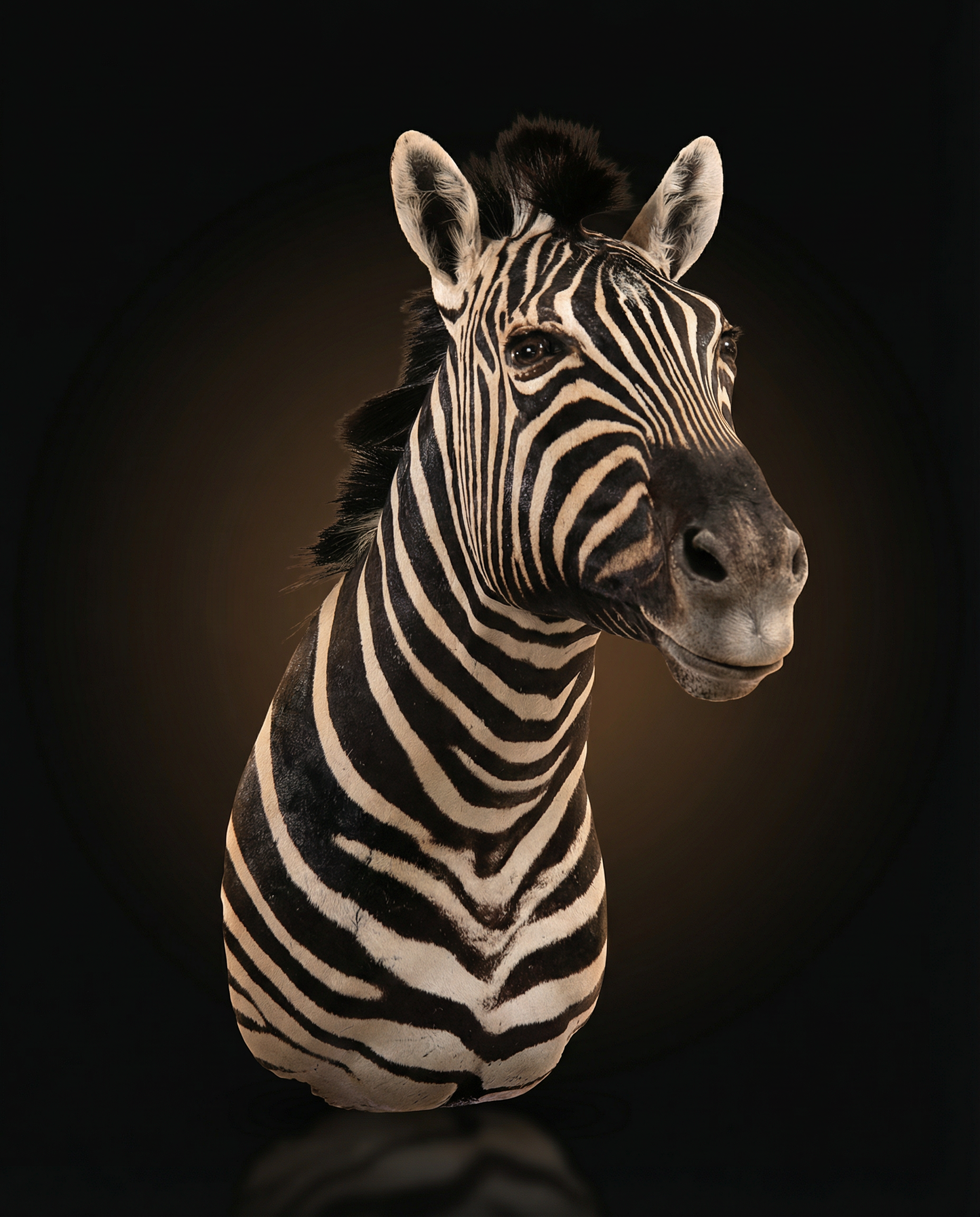 Zebra Mount: The Balancer