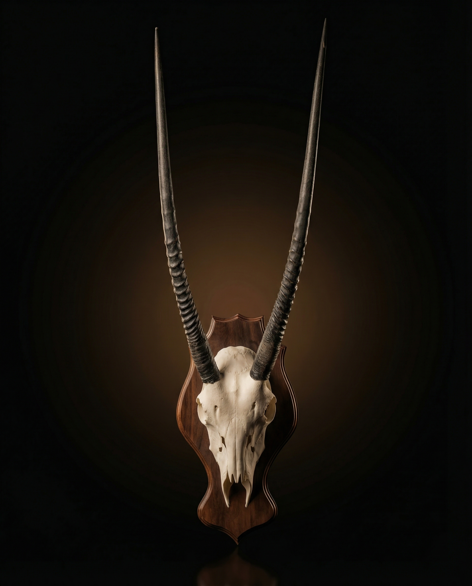 Sculptural objects