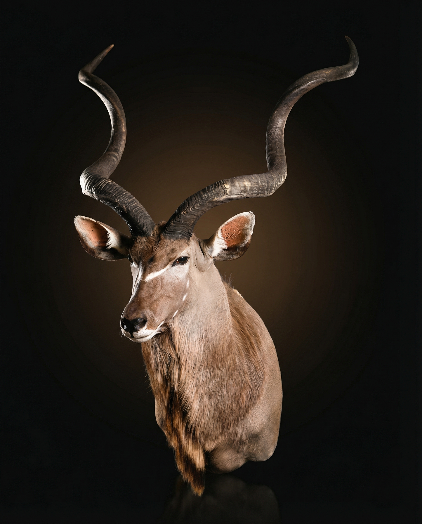 Núi Kudu: Người quan sát