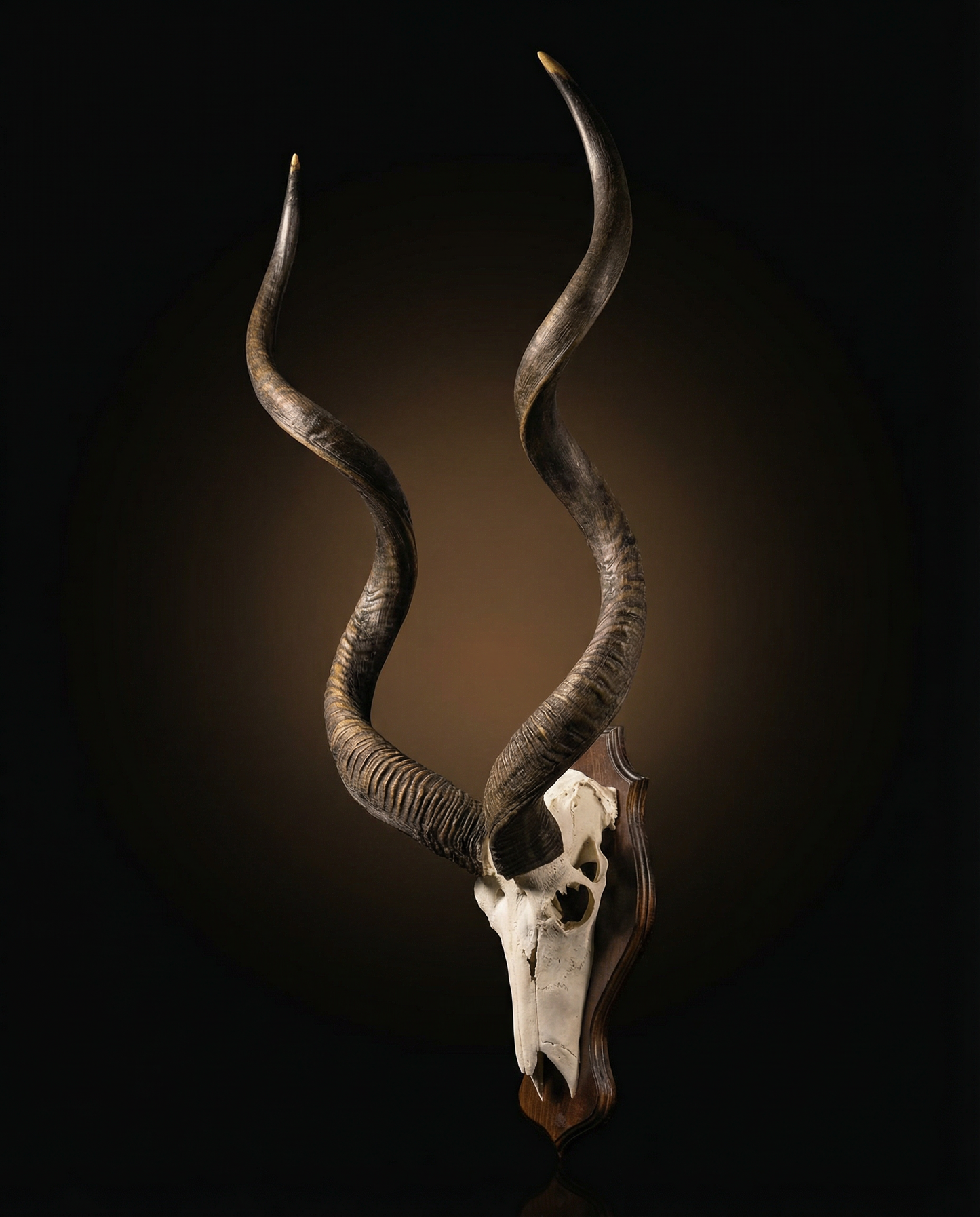 Sọ Kudu: Người Quan Sát