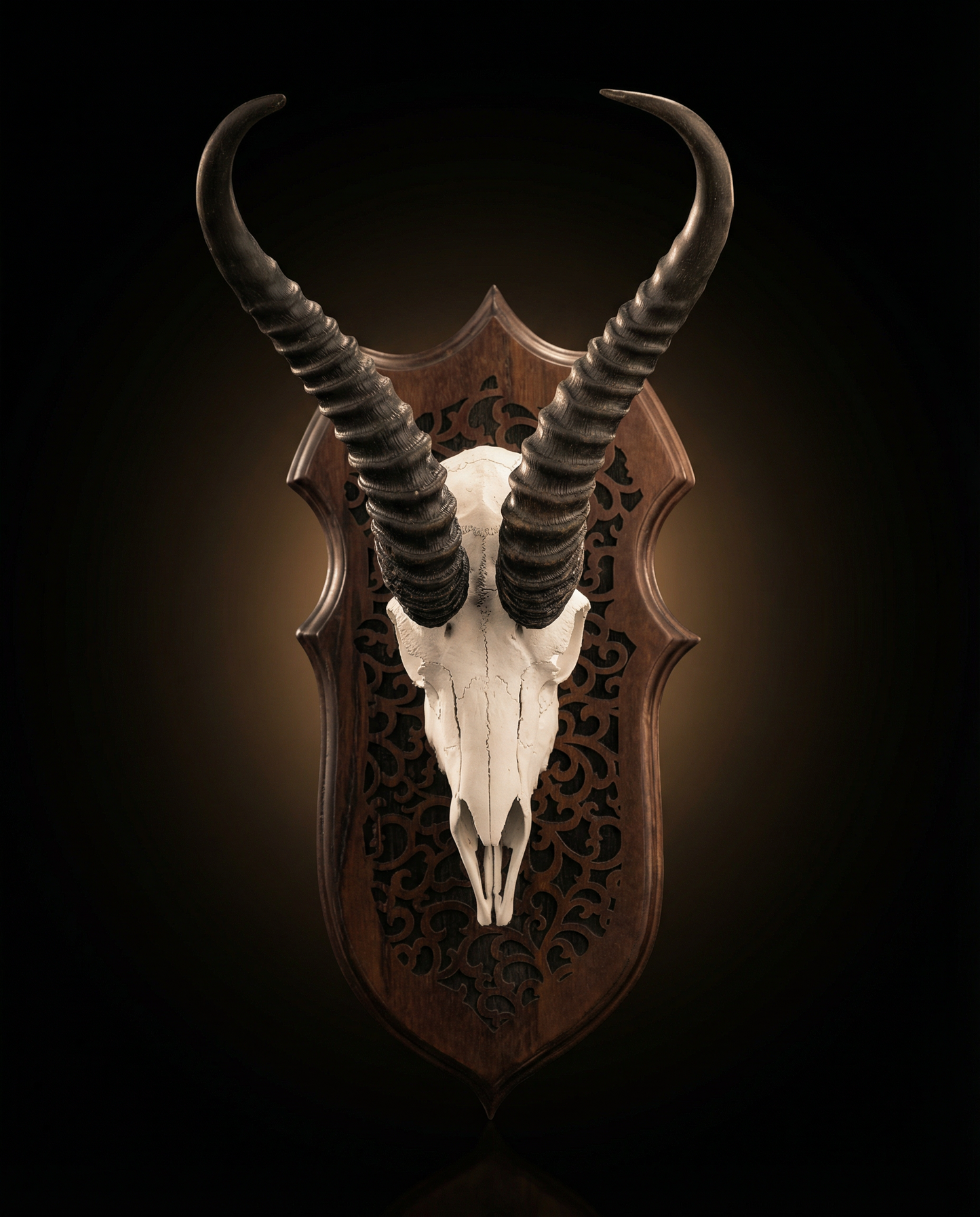 Springbok Skull: The Messenger